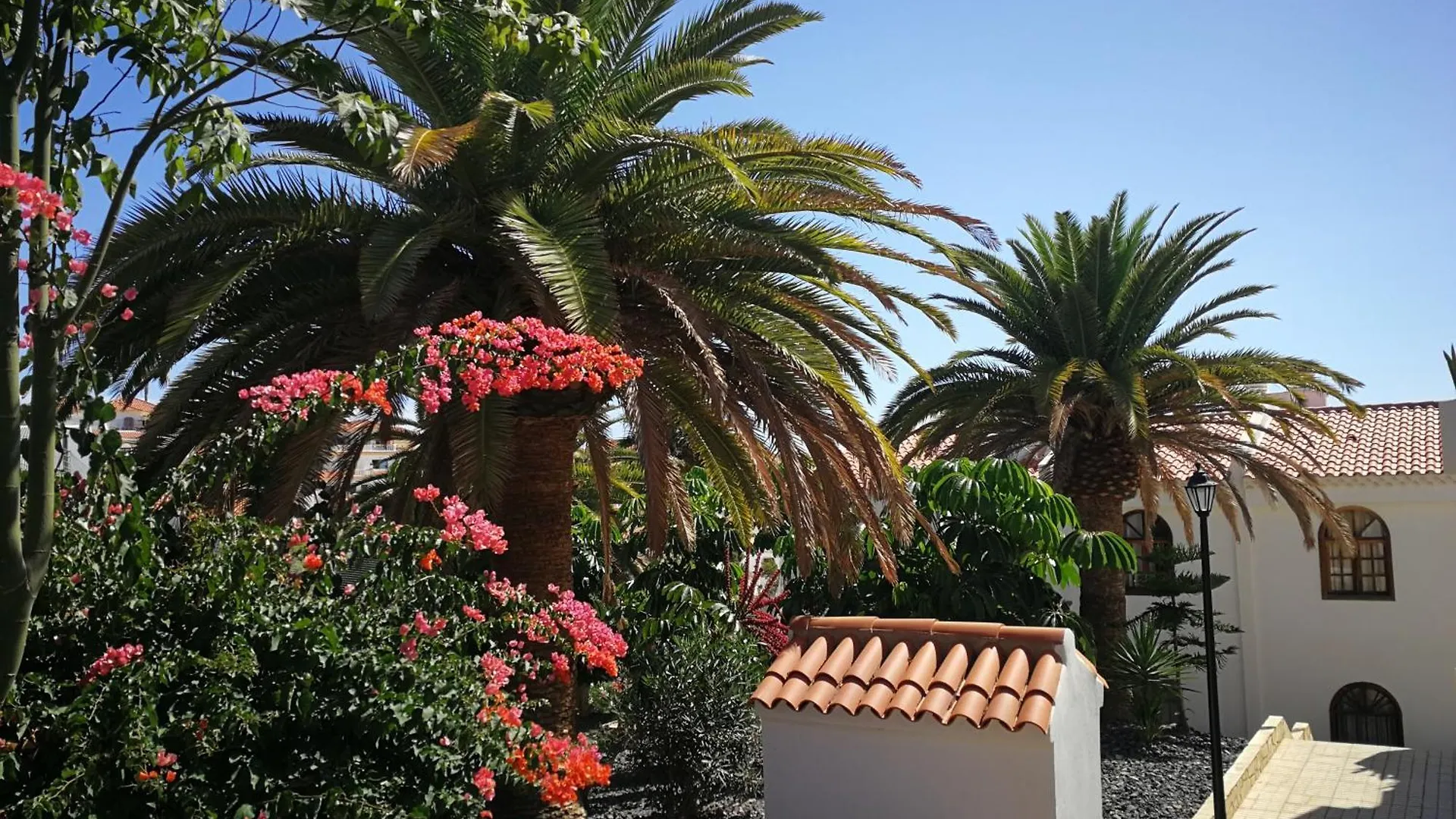 Hygge Costa Adeje, 1 Bedroom, 5 Person, Pool Apartment Costa Adeje (Tenerife)